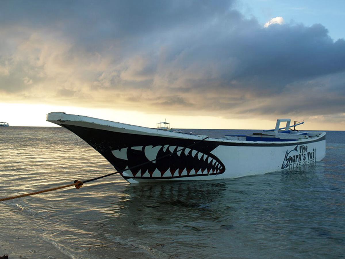 The Shark'S Tail Dive Center Otel Daanbantayan Dış mekan fotoğraf