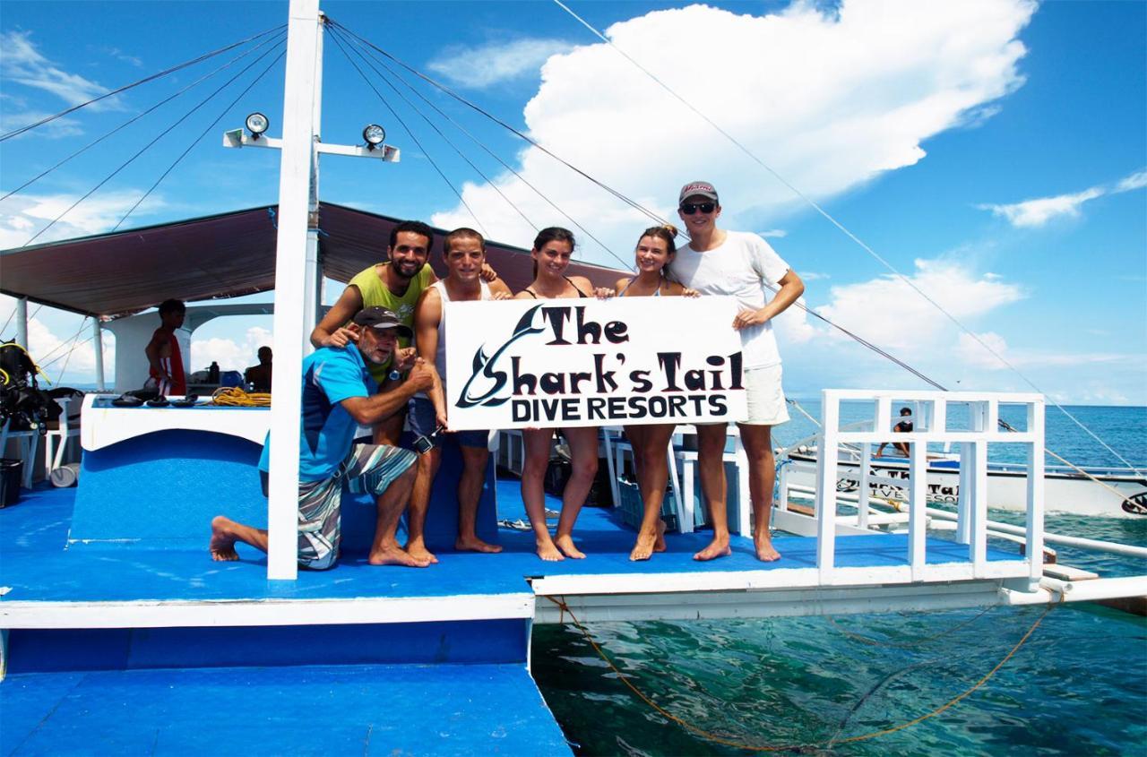 The Shark'S Tail Dive Center Otel Daanbantayan Dış mekan fotoğraf